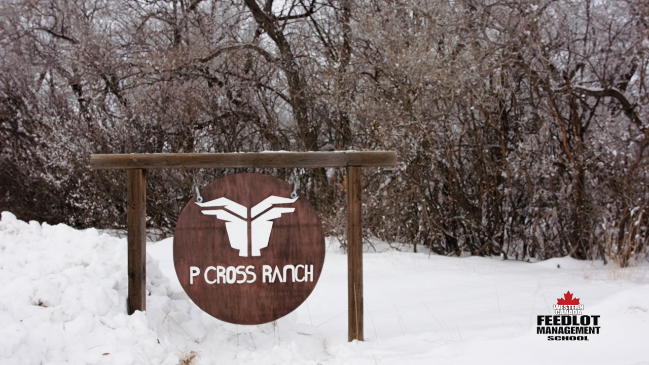 P Cross Ranch thumbnail